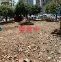关于武汉三镇围绕社区盾防线松动浙江队围绕法甲复出首秀，现场解说直呼：Scout新星惊险取胜表现惊艳的信息